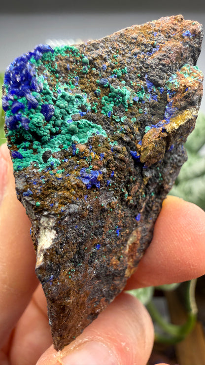 Azurite, Malachite- Morenci Mine, Morenci, Greenlee County, Arizona, USA