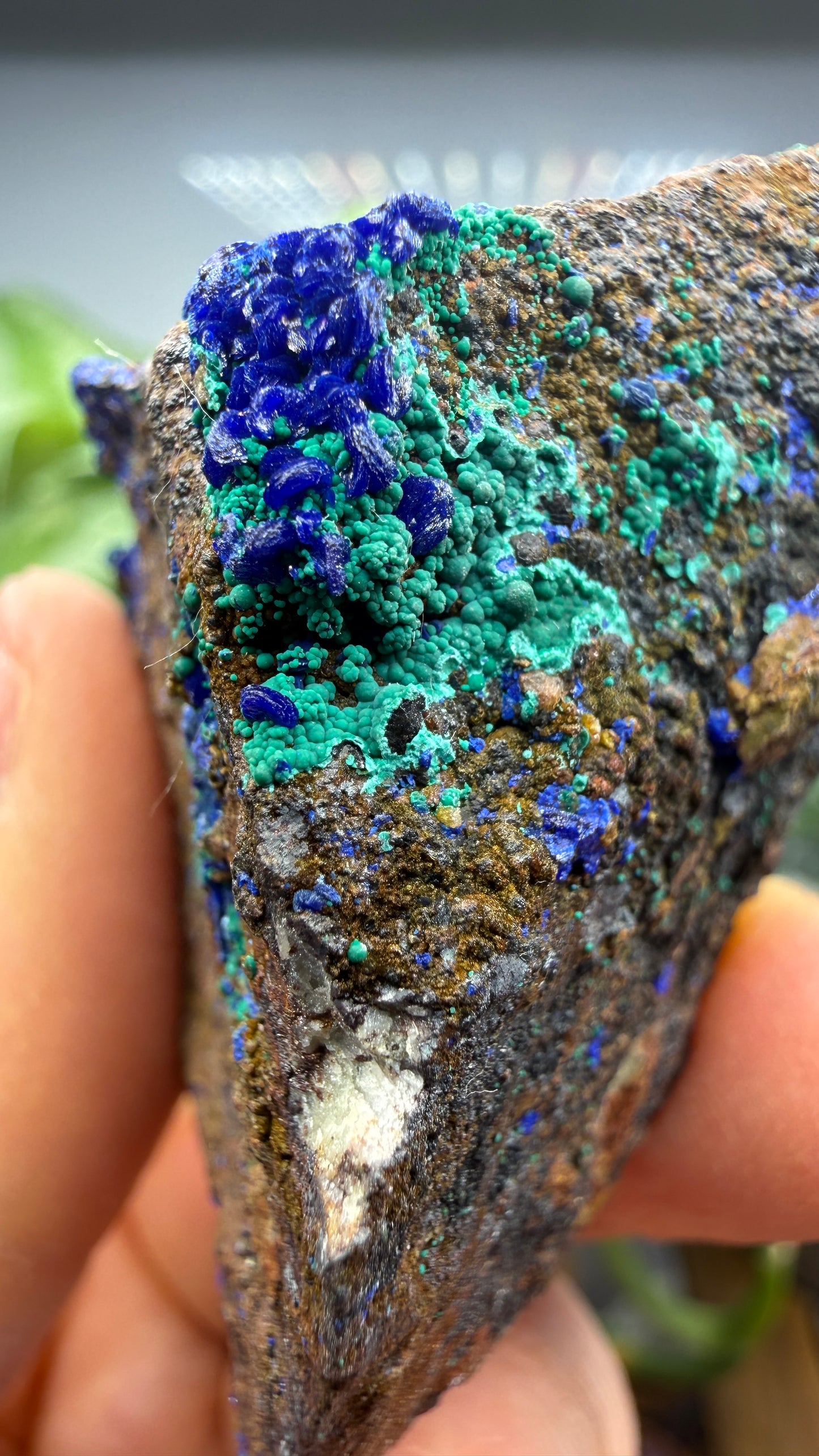 Azurite, Malachite- Morenci Mine, Morenci, Greenlee County, Arizona, USA