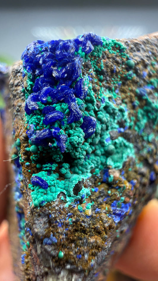 Azurite, Malachite- Morenci Mine, Morenci, Greenlee County, Arizona, USA