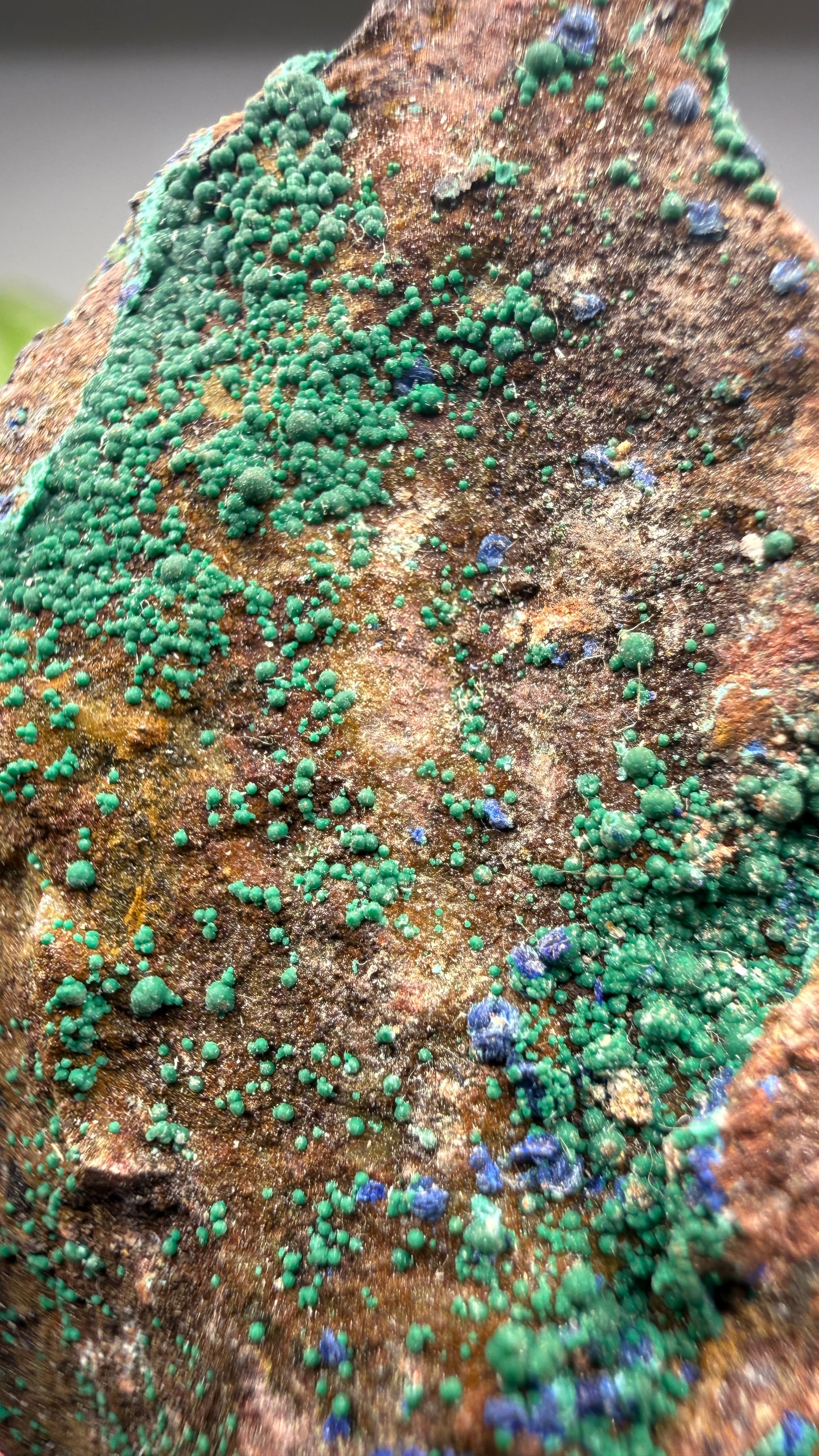 Azurite, Malachite- Morenci Mine, Morenci, Greenlee County, Arizona, USA