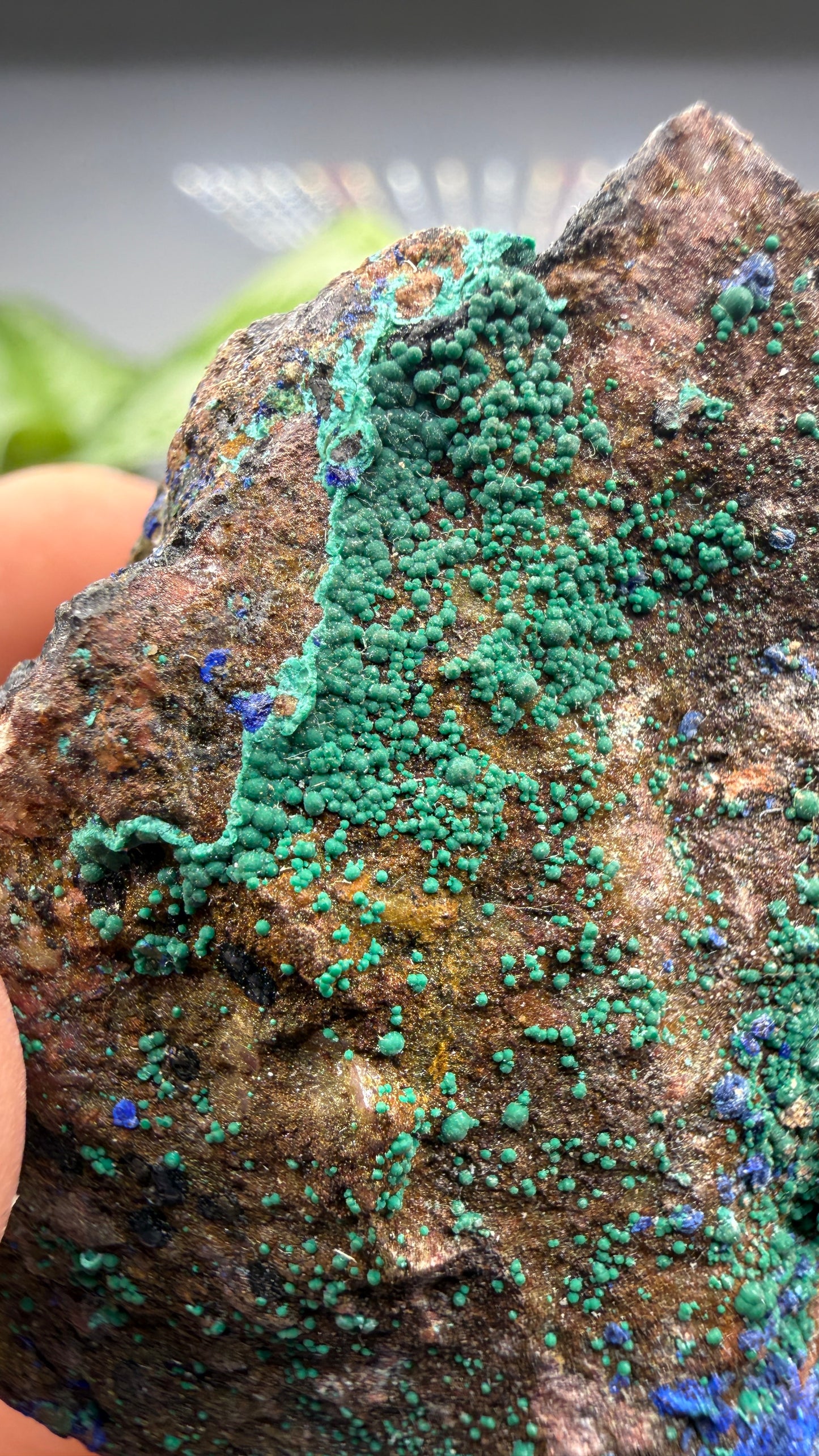 Azurite, Malachite- Morenci Mine, Morenci, Greenlee County, Arizona, USA