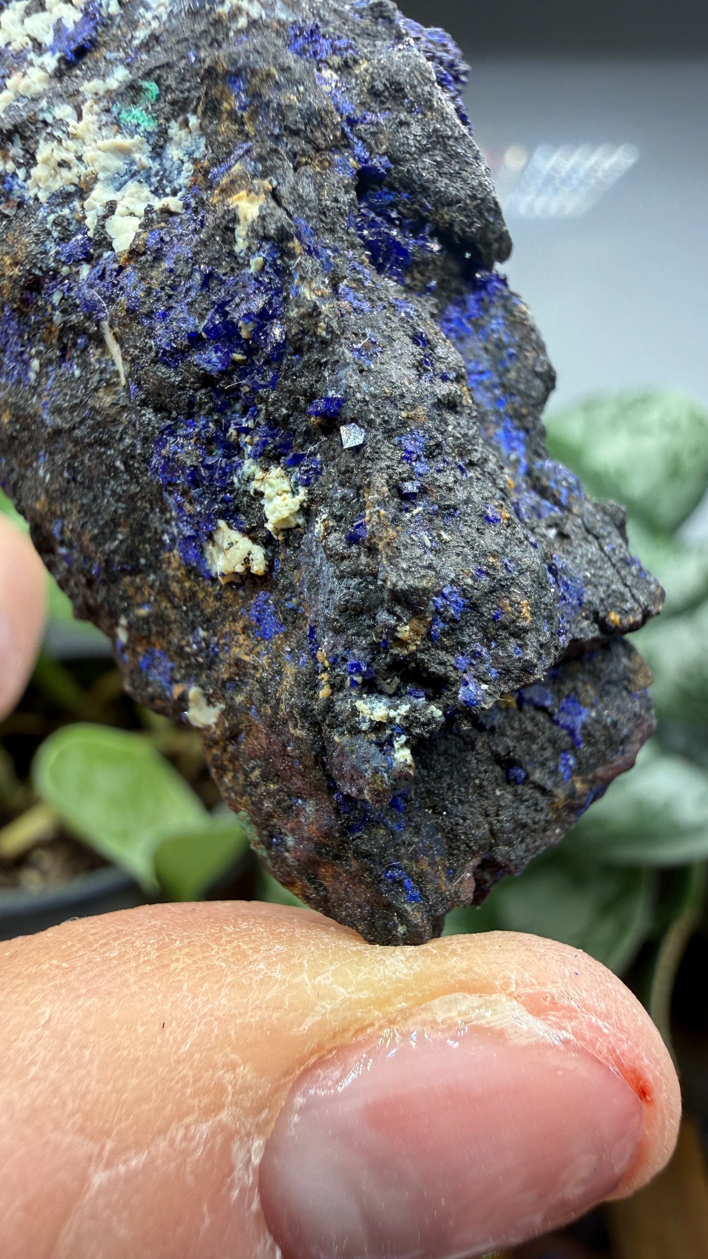 Azurite, Malachite- Morenci Mine, Morenci, Greenlee County, Arizona, USA