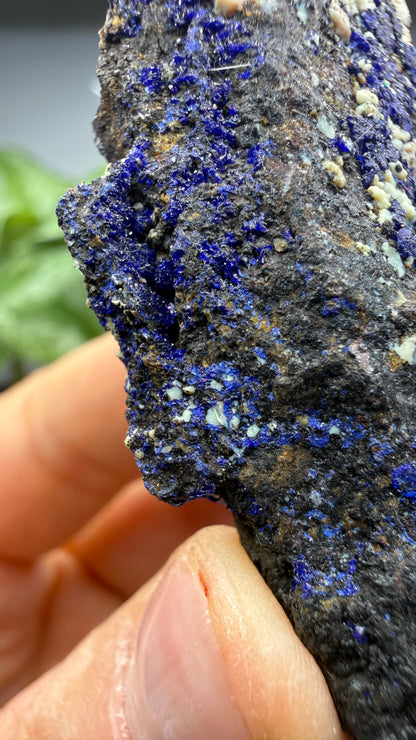 Azurite, Malachite- Morenci Mine, Morenci, Greenlee County, Arizona, USA