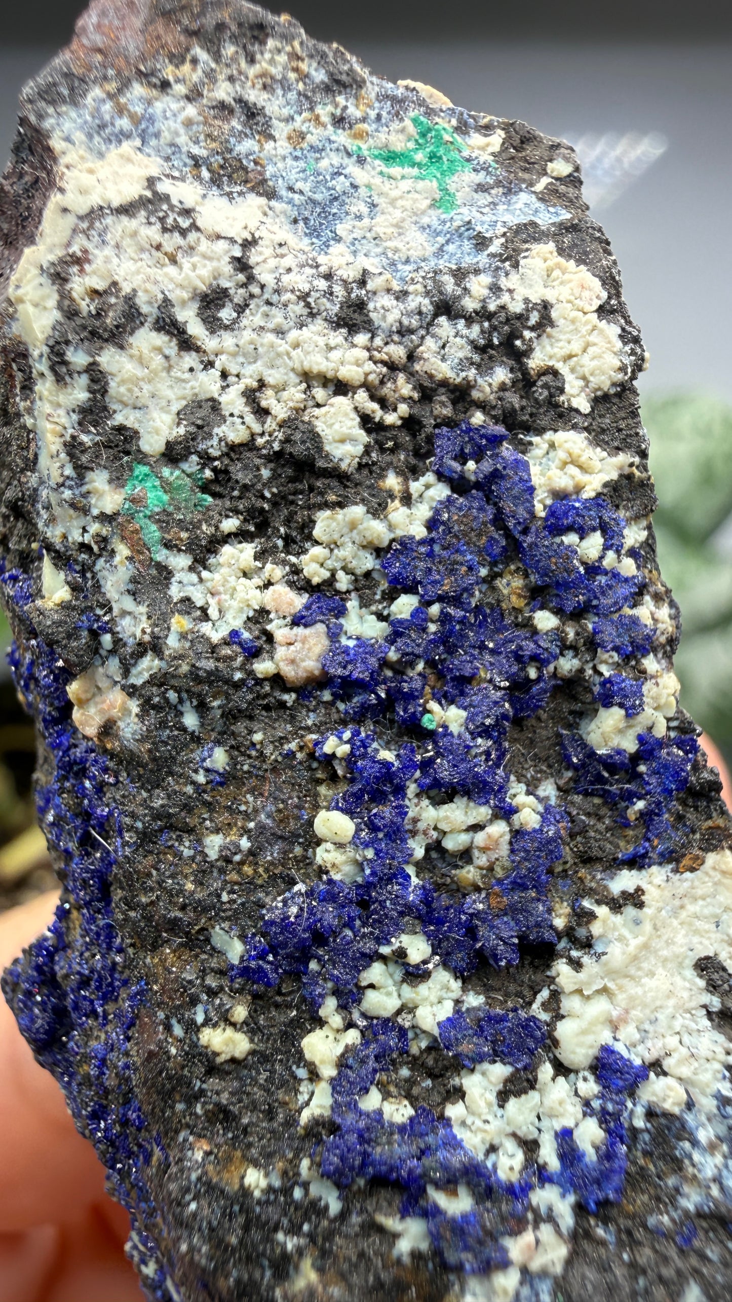 Azurite, Malachite- Morenci Mine, Morenci, Greenlee County, Arizona, USA