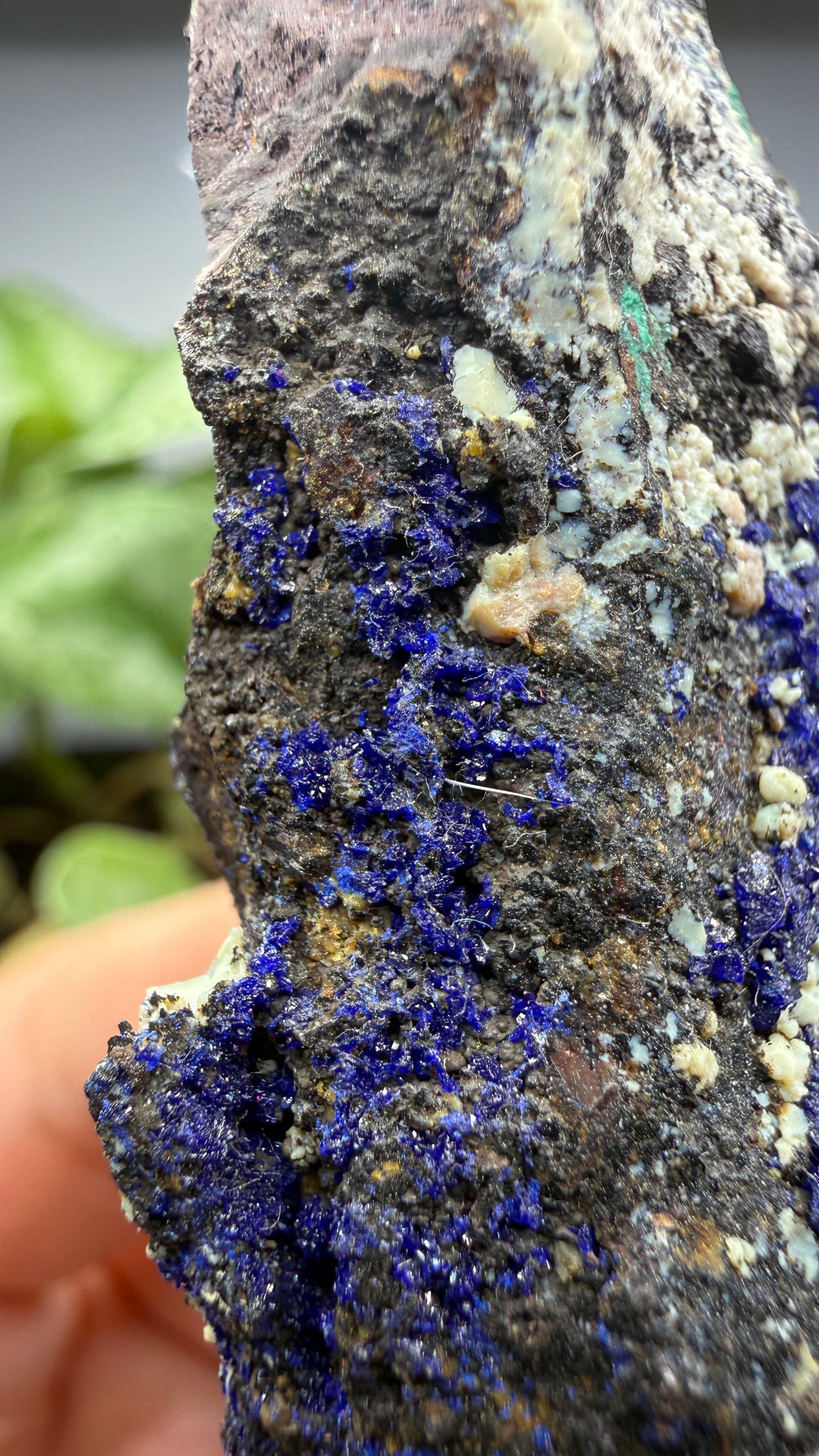 Azurite, Malachite- Morenci Mine, Morenci, Greenlee County, Arizona, USA
