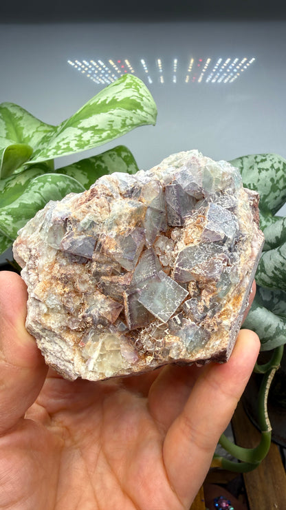 Fluorite- Blanchard Mine, Bingham, Hansonburg District, Socorro County, New Mexico, USA