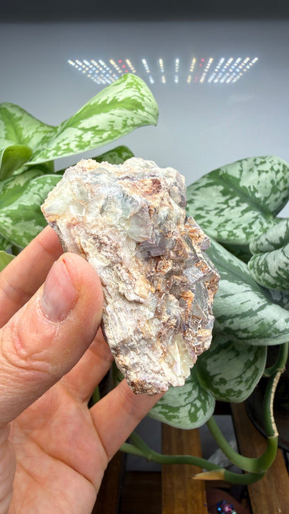 Fluorite- Blanchard Mine, Bingham, Hansonburg District, Socorro County, New Mexico, USA