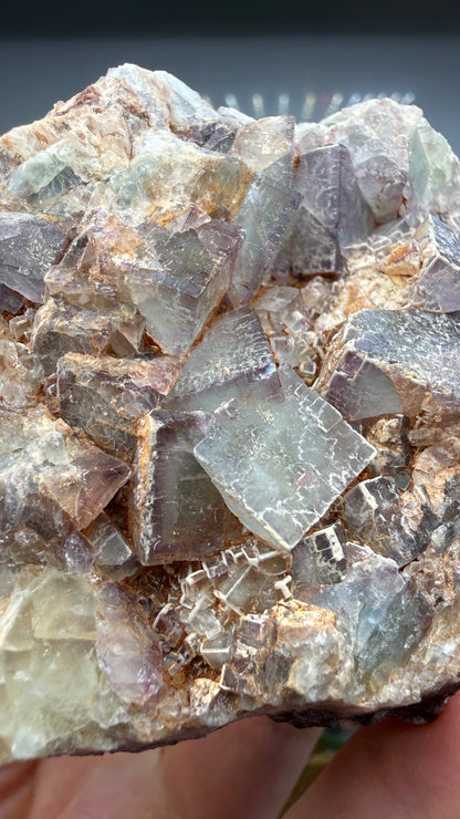 Fluorite- Blanchard Mine, Bingham, Hansonburg District, Socorro County, New Mexico, USA
