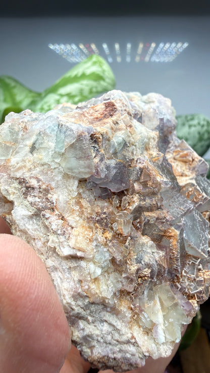Fluorite- Blanchard Mine, Bingham, Hansonburg District, Socorro County, New Mexico, USA