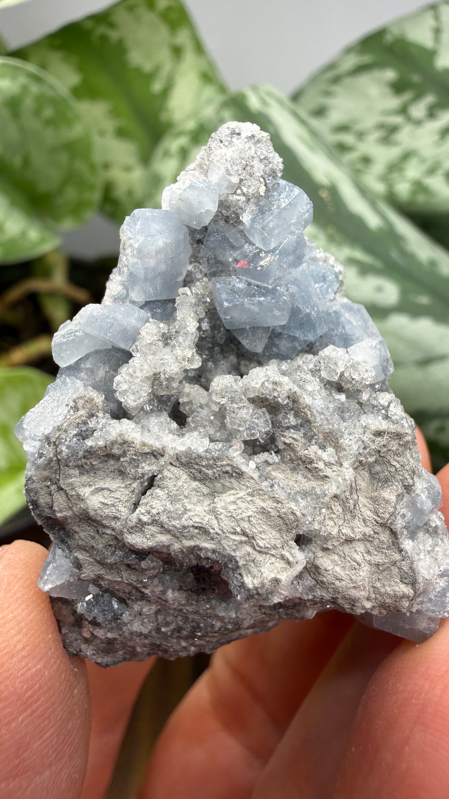 Celestine- Meckley's Quarry, Mandata, Northumberland County, Pennsylvania, USA