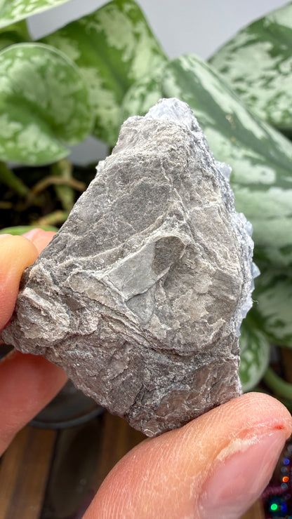 Celestine- Meckley's Quarry, Mandata, Northumberland County, Pennsylvania, USA
