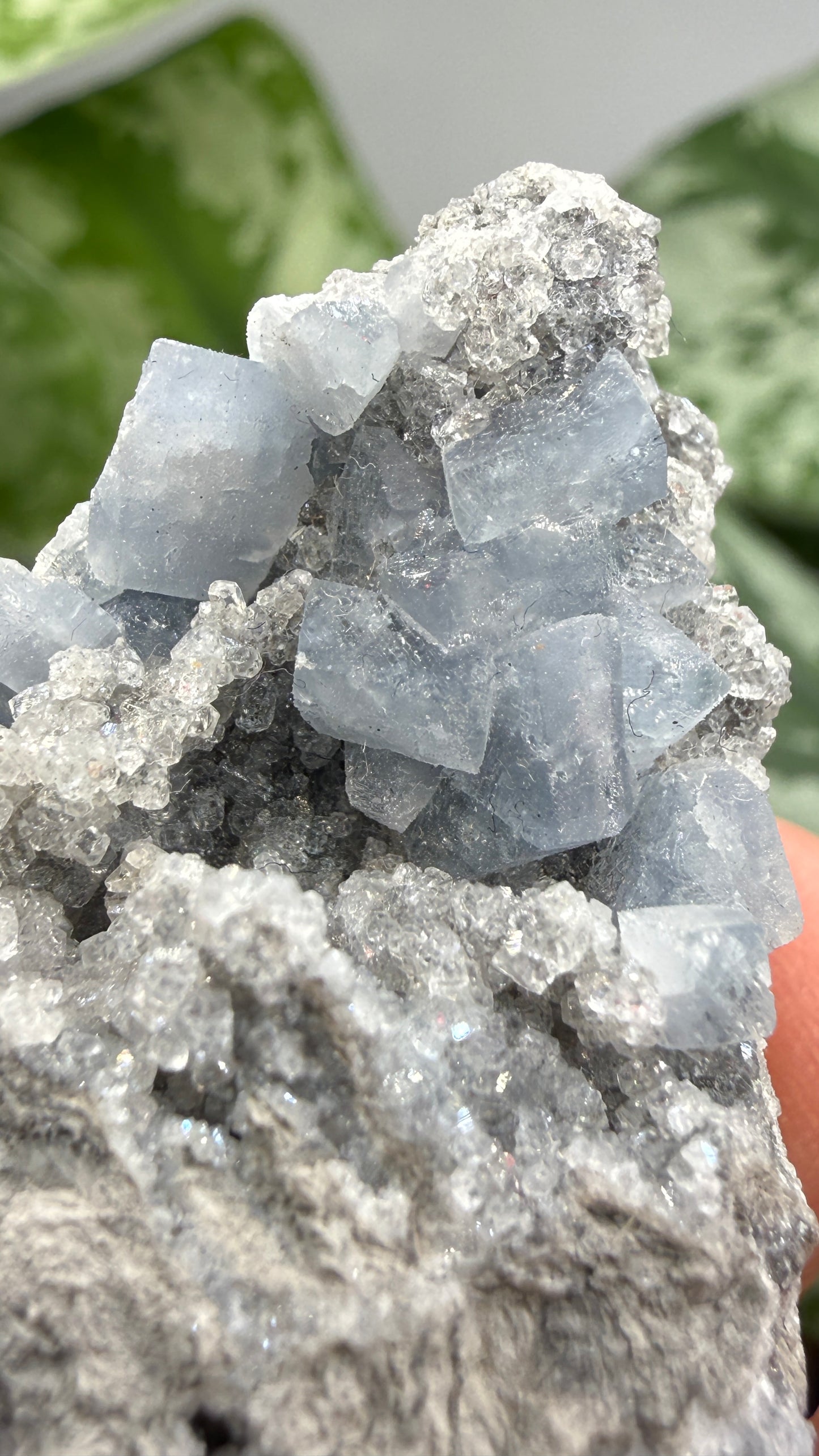 Celestine- Meckley's Quarry, Mandata, Northumberland County, Pennsylvania, USA