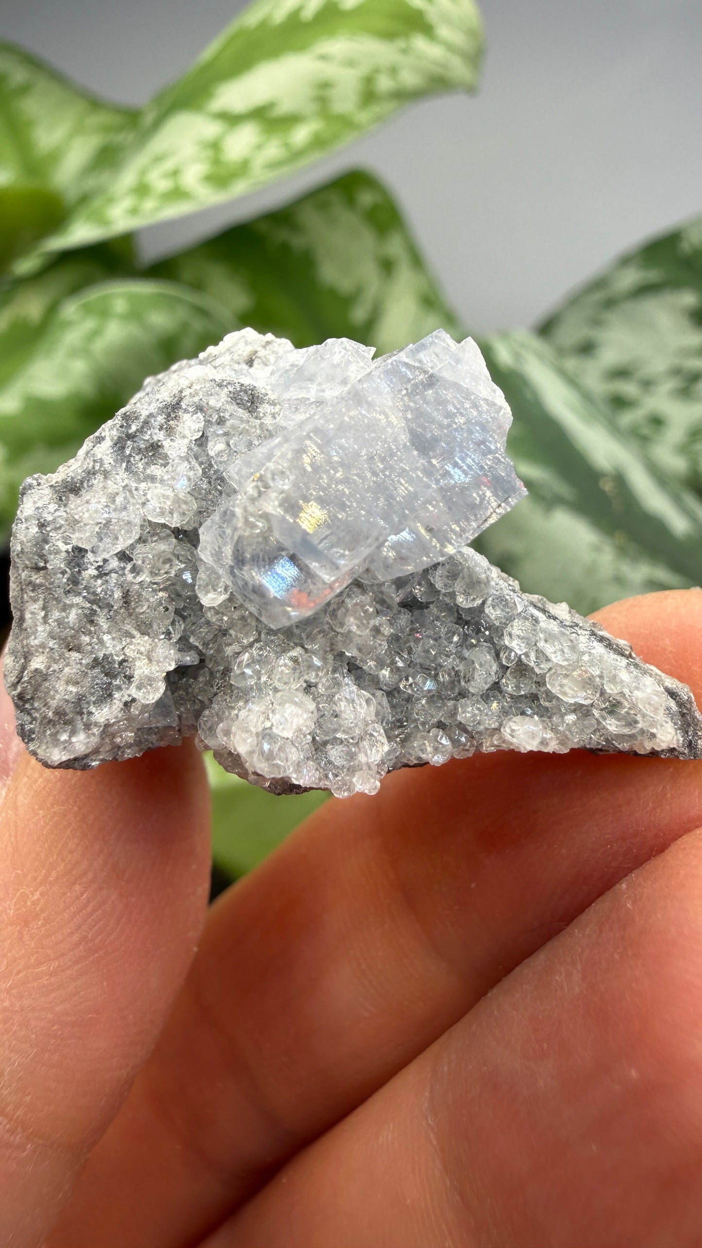 Celestine, Calcite- Meckley's Quarry, Mandata, Northumberland County, Pennsylvania, USA