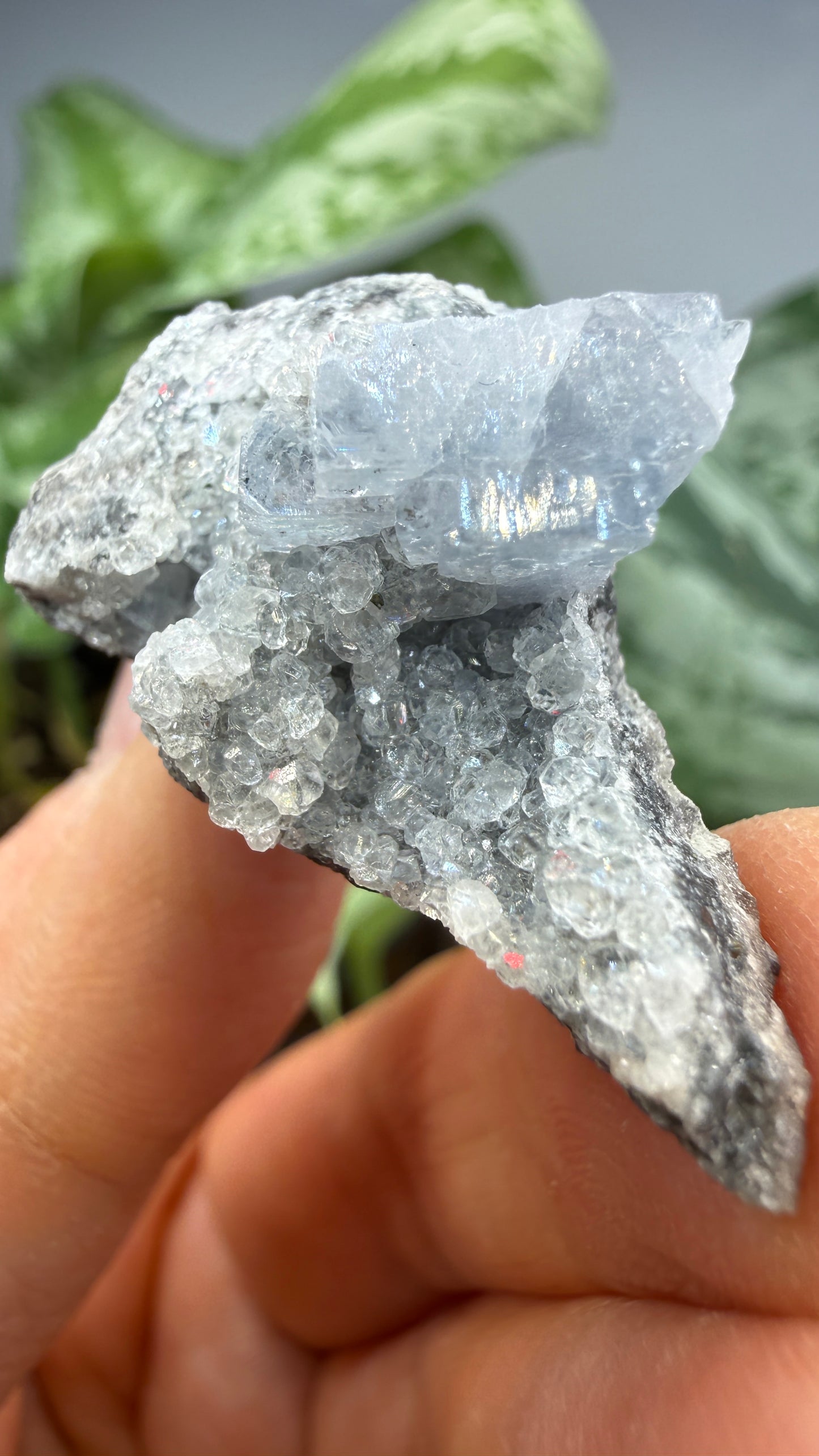 Celestine, Calcite- Meckley's Quarry, Mandata, Northumberland County, Pennsylvania, USA