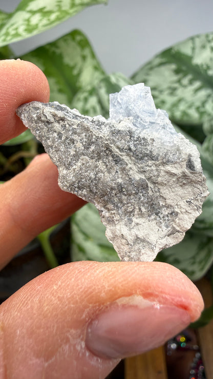 Celestine, Calcite- Meckley's Quarry, Mandata, Northumberland County, Pennsylvania, USA