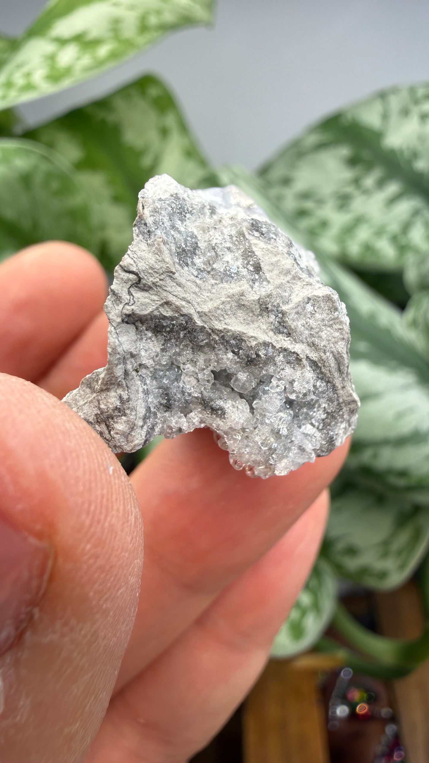 Celestine, Calcite- Meckley's Quarry, Mandata, Northumberland County, Pennsylvania, USA