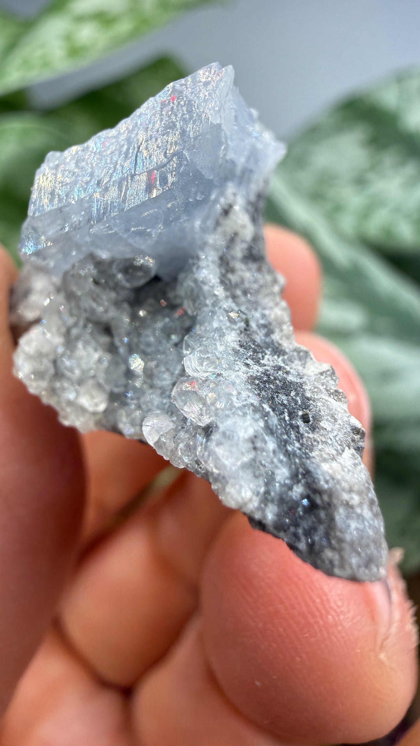 Celestine, Calcite- Meckley's Quarry, Mandata, Northumberland County, Pennsylvania, USA