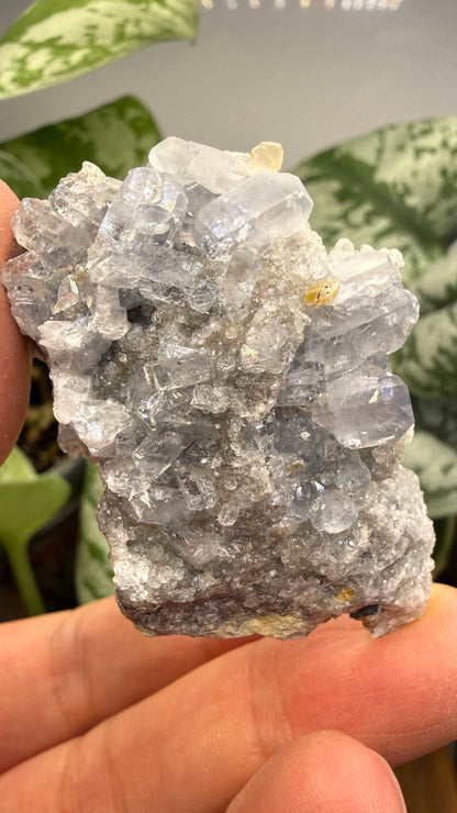 Celestine, Calcite- Meckley's Quarry, Mandata, Northumberland County, Pennsylvania, USA