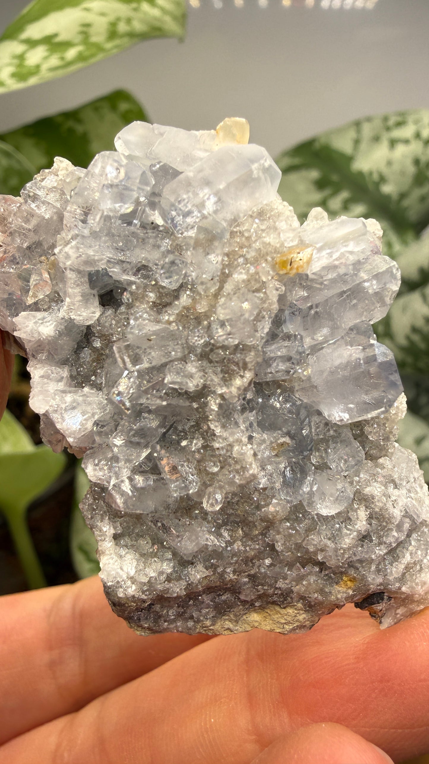 Celestine, Calcite- Meckley's Quarry, Mandata, Northumberland County, Pennsylvania, USA