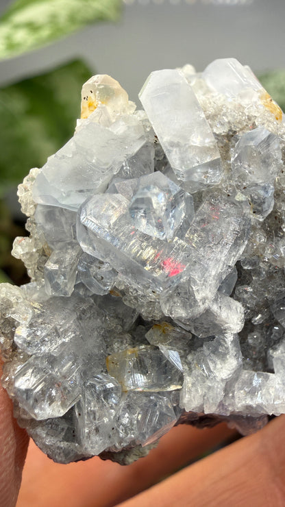 Celestine, Calcite- Meckley's Quarry, Mandata, Northumberland County, Pennsylvania, USA