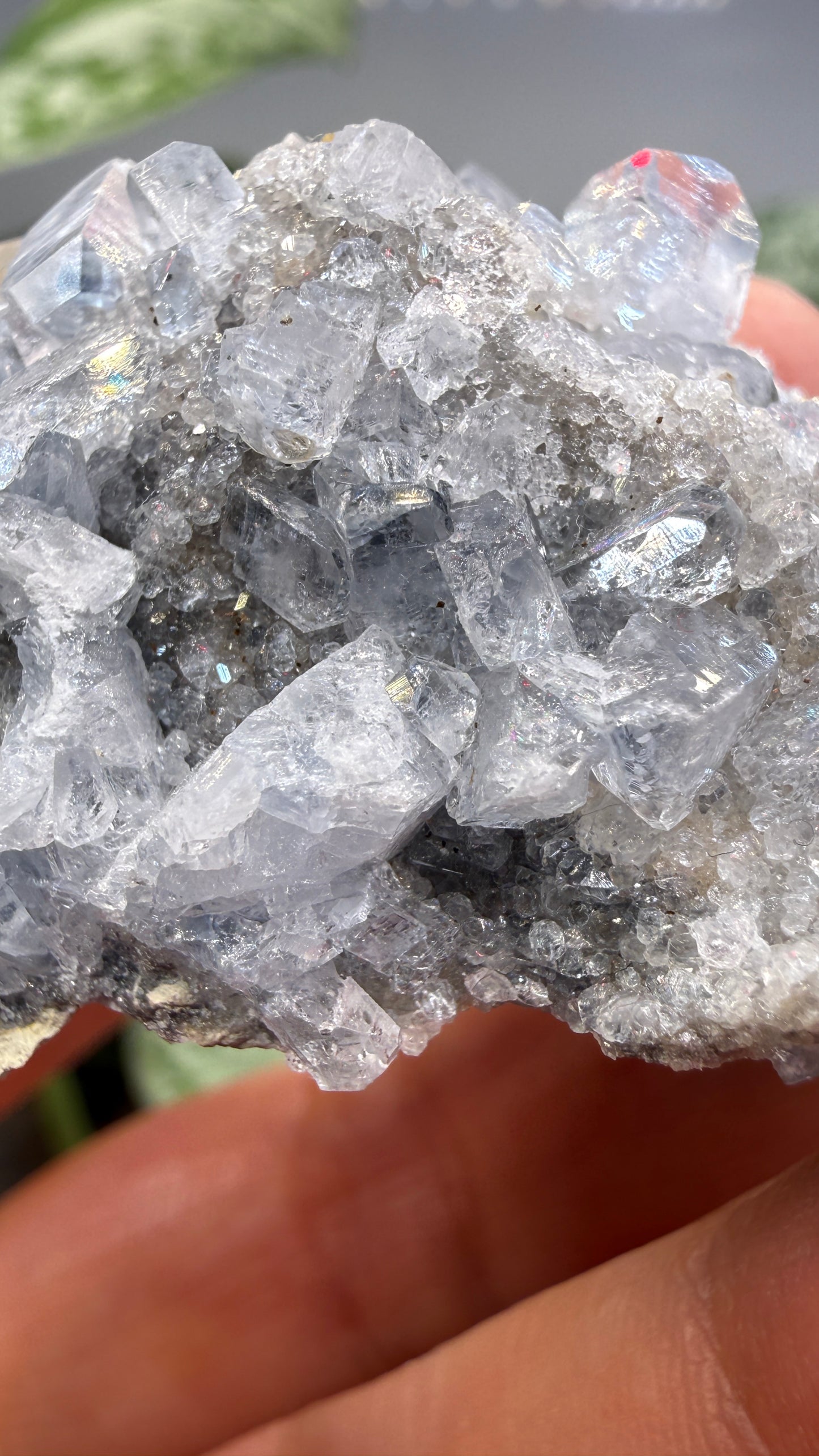Celestine, Calcite- Meckley's Quarry, Mandata, Northumberland County, Pennsylvania, USA