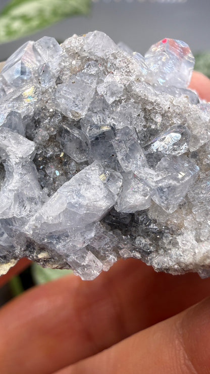 Celestine, Calcite- Meckley's Quarry, Mandata, Northumberland County, Pennsylvania, USA