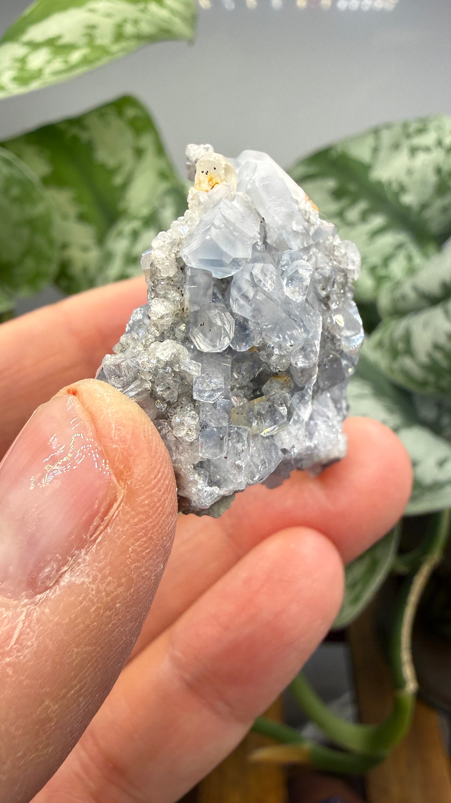 Celestine, Calcite- Meckley's Quarry, Mandata, Northumberland County, Pennsylvania, USA