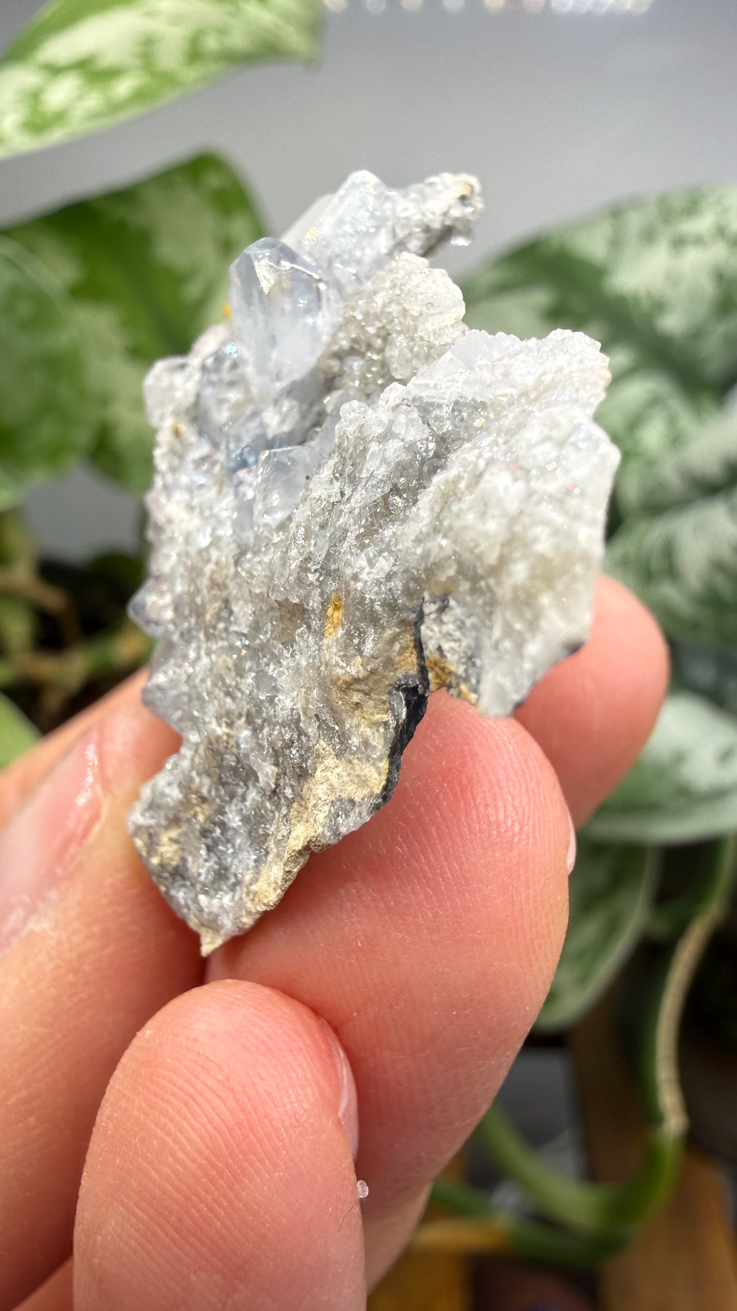 Celestine, Calcite- Meckley's Quarry, Mandata, Northumberland County, Pennsylvania, USA