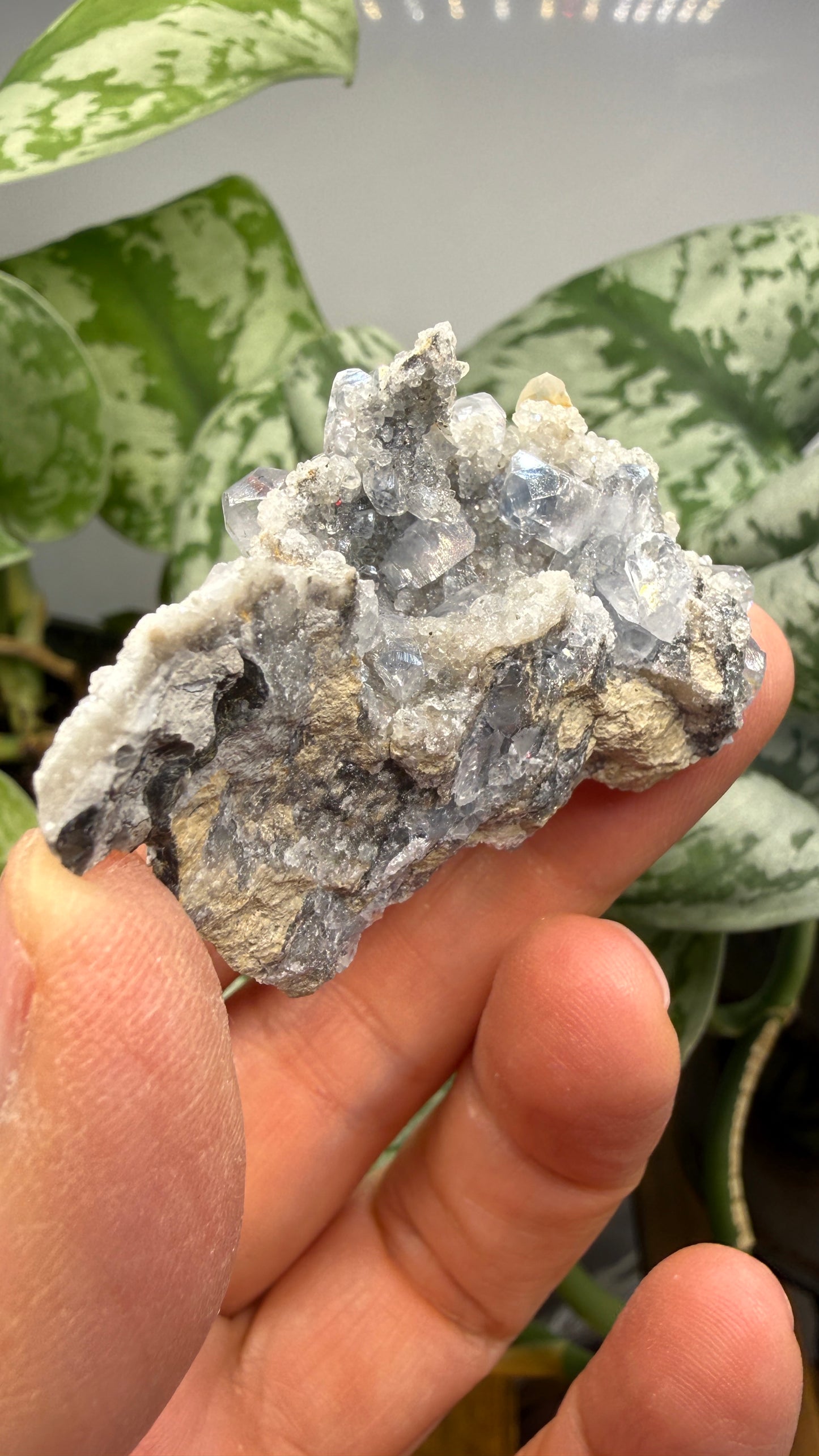 Celestine, Calcite- Meckley's Quarry, Mandata, Northumberland County, Pennsylvania, USA