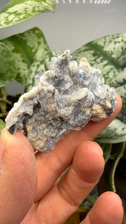 Celestine, Calcite- Meckley's Quarry, Mandata, Northumberland County, Pennsylvania, USA