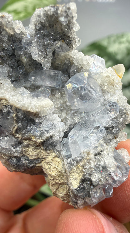Celestine, Calcite- Meckley's Quarry, Mandata, Northumberland County, Pennsylvania, USA