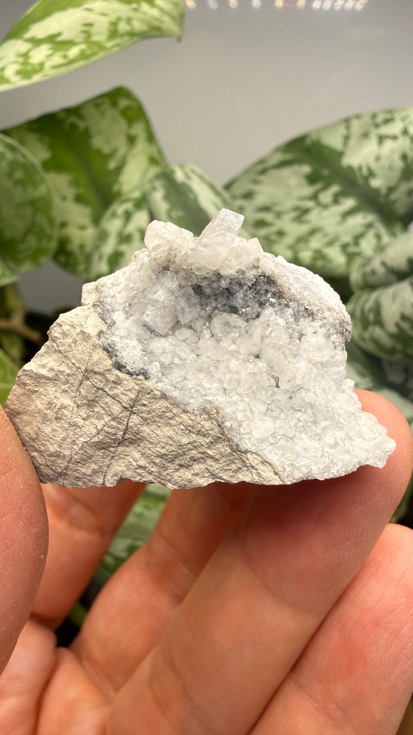 Celestine, Calcite- Meckley's Quarry, Mandata, Northumberland County, Pennsylvania, USA