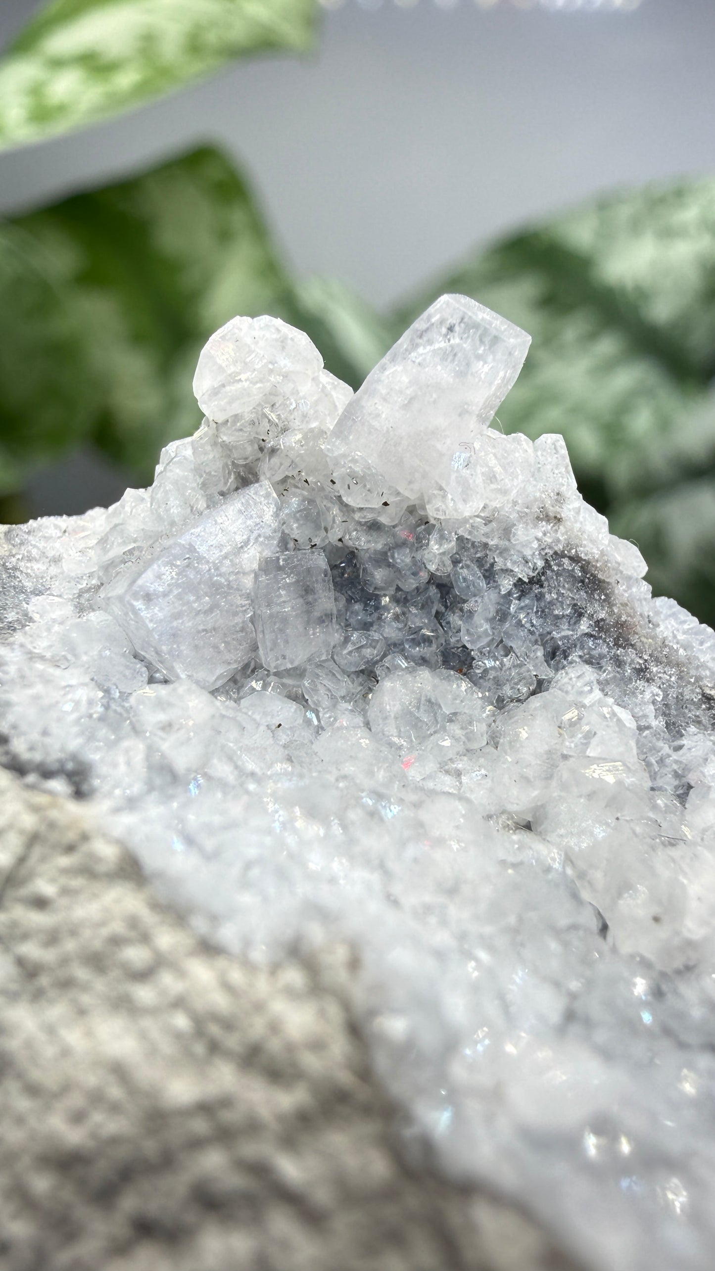 Celestine, Calcite- Meckley's Quarry, Mandata, Northumberland County, Pennsylvania, USA