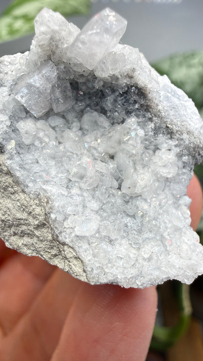 Celestine, Calcite- Meckley's Quarry, Mandata, Northumberland County, Pennsylvania, USA