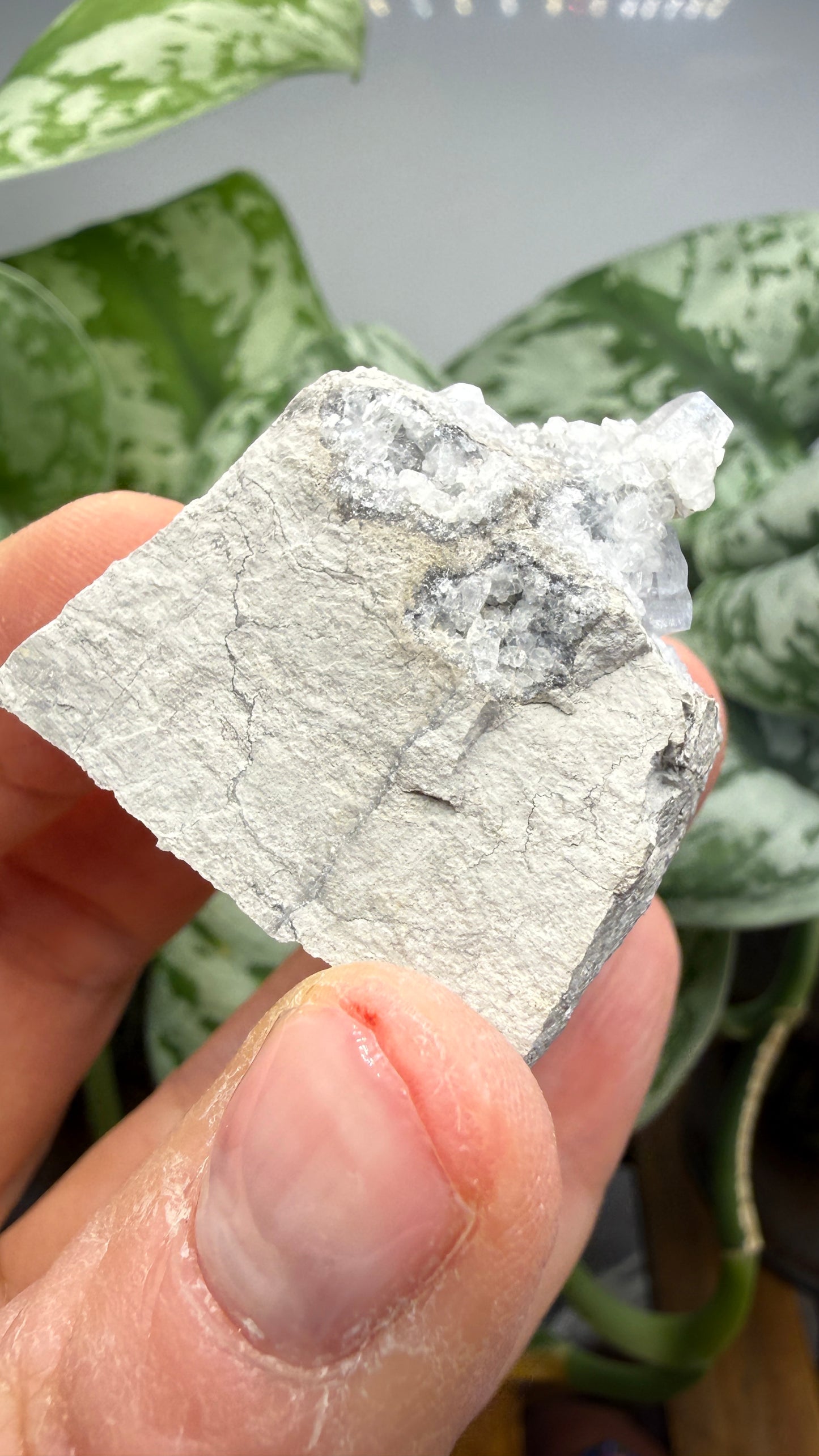 Celestine, Calcite- Meckley's Quarry, Mandata, Northumberland County, Pennsylvania, USA