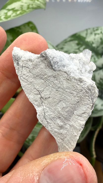 Celestine, Calcite- Meckley's Quarry, Mandata, Northumberland County, Pennsylvania, USA