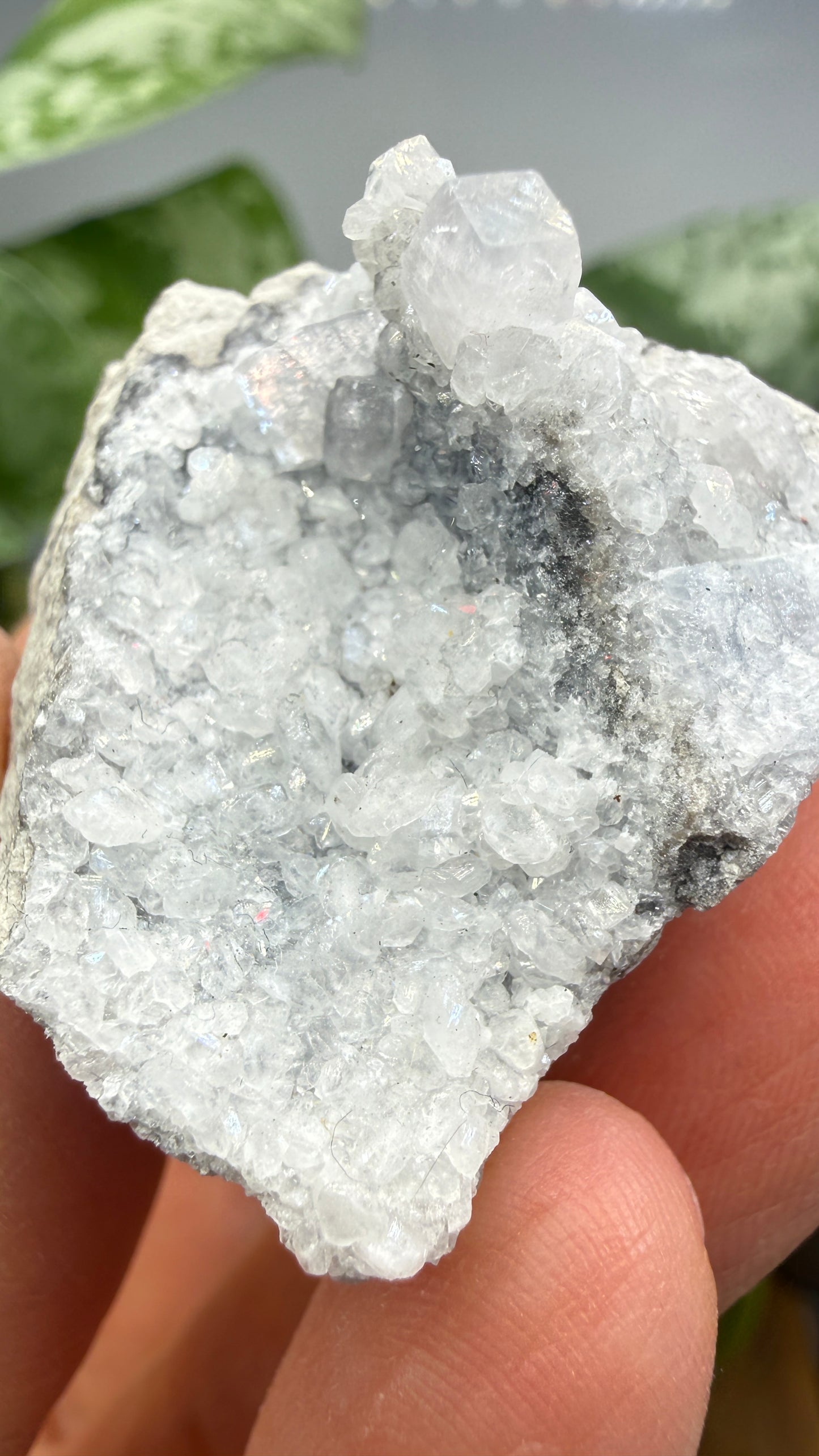 Celestine, Calcite- Meckley's Quarry, Mandata, Northumberland County, Pennsylvania, USA