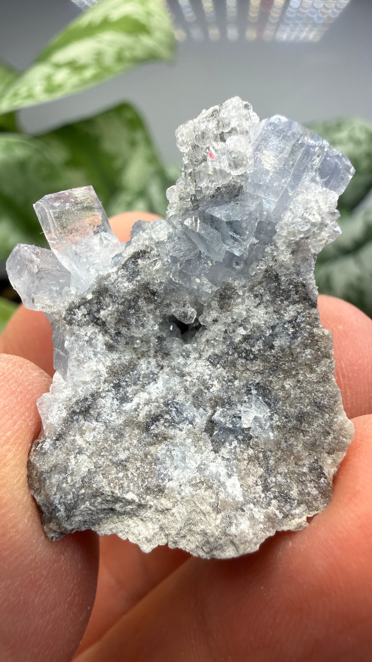 Celestine, Calcite- Meckley's Quarry, Mandata, Northumberland County, Pennsylvania, USA