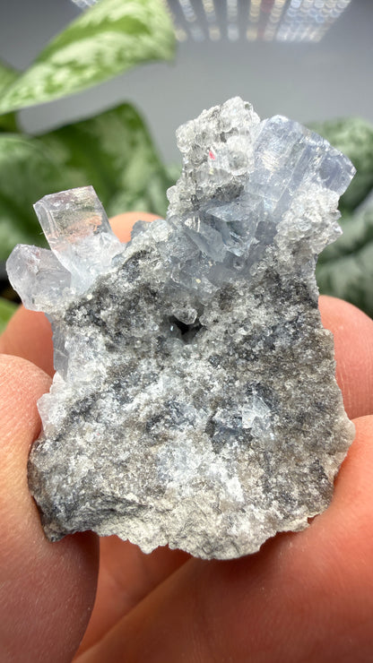 Celestine, Calcite- Meckley's Quarry, Mandata, Northumberland County, Pennsylvania, USA