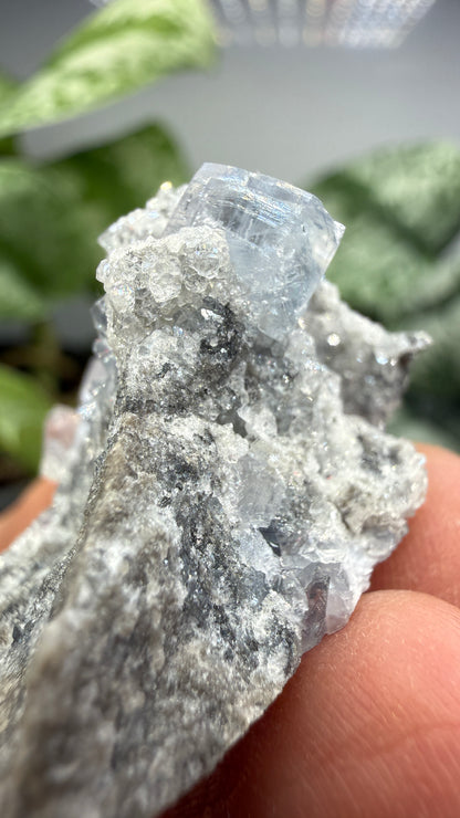 Celestine, Calcite- Meckley's Quarry, Mandata, Northumberland County, Pennsylvania, USA