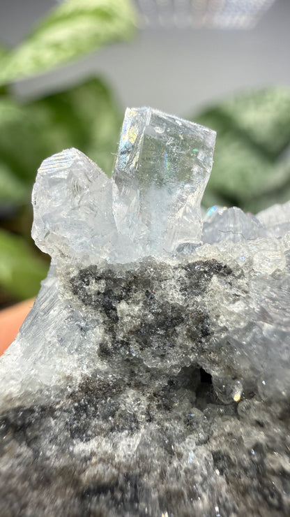 Celestine, Calcite- Meckley's Quarry, Mandata, Northumberland County, Pennsylvania, USA