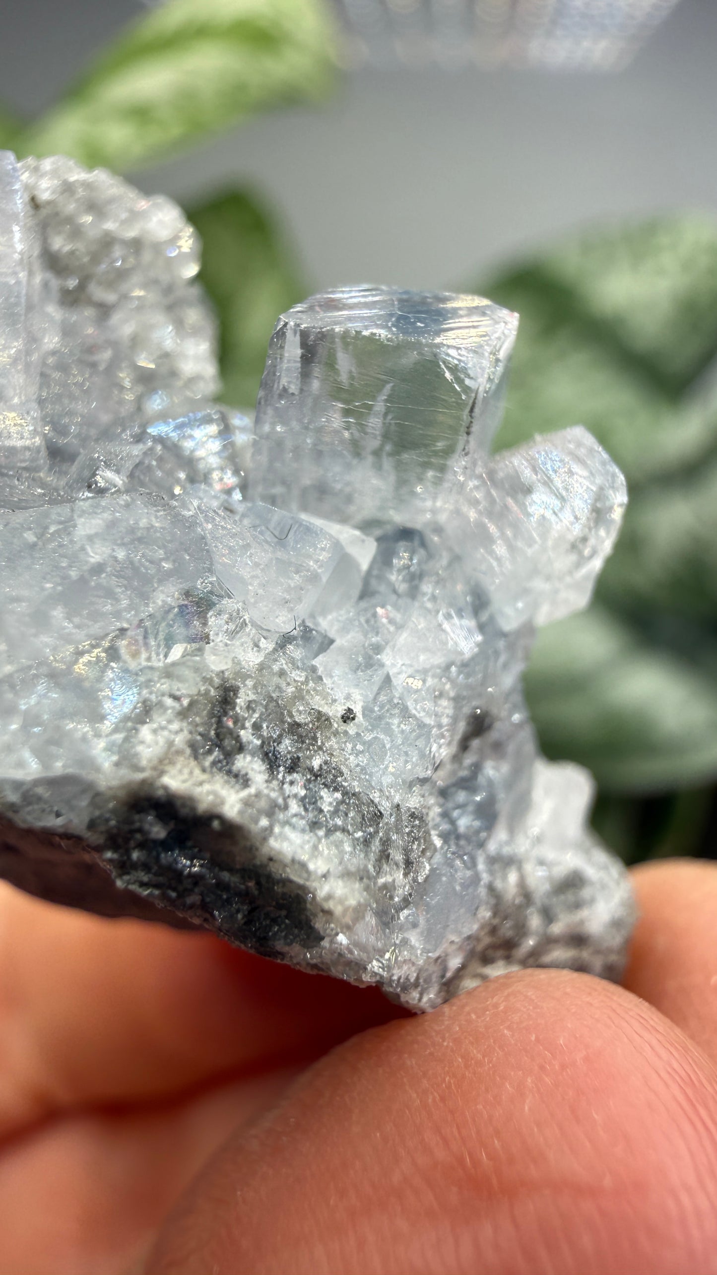Celestine, Calcite- Meckley's Quarry, Mandata, Northumberland County, Pennsylvania, USA