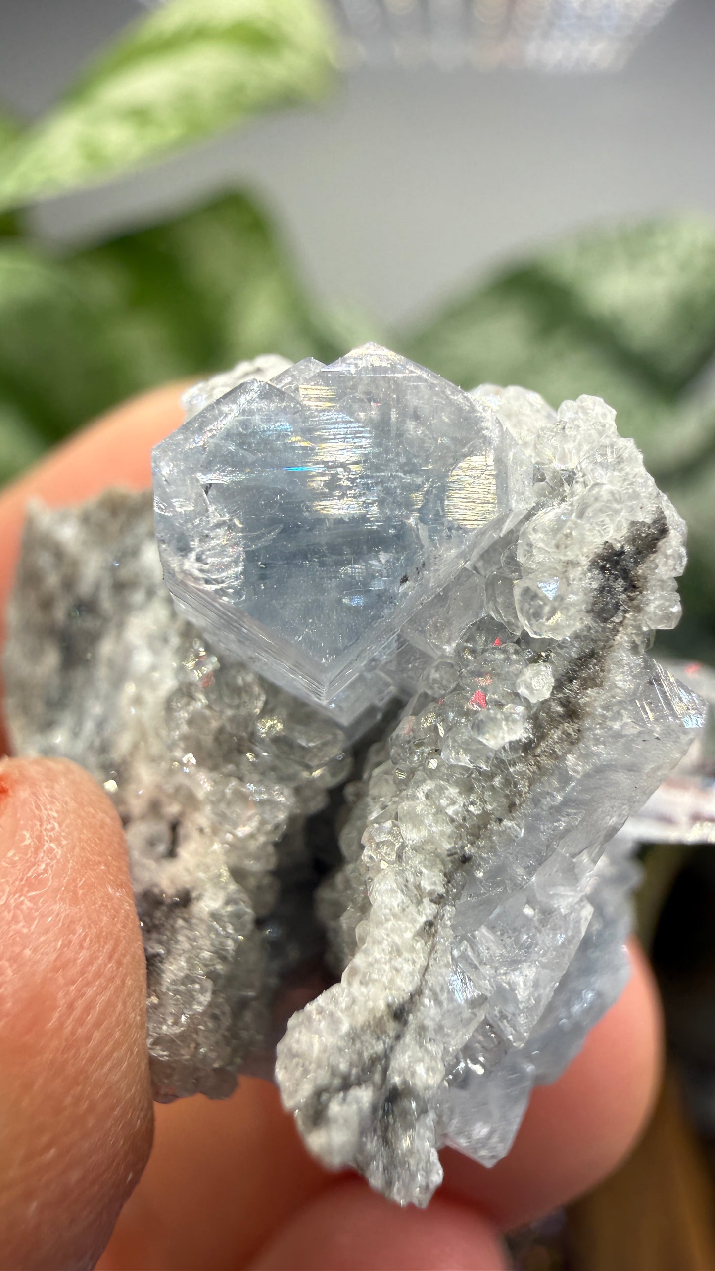 Celestine, Calcite- Meckley's Quarry, Mandata, Northumberland County, Pennsylvania, USA