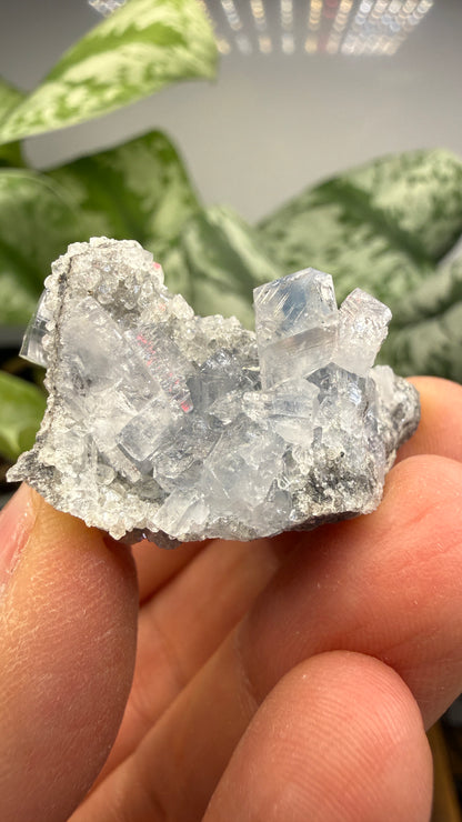 Celestine, Calcite- Meckley's Quarry, Mandata, Northumberland County, Pennsylvania, USA