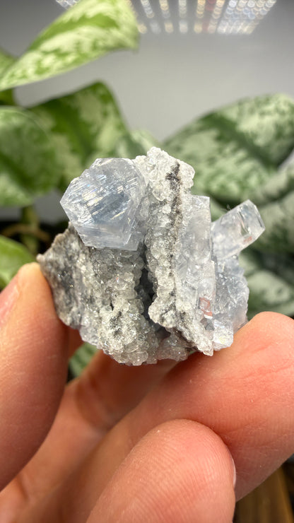 Celestine, Calcite- Meckley's Quarry, Mandata, Northumberland County, Pennsylvania, USA