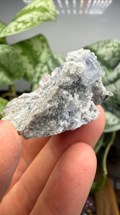 Celestine, Calcite- Meckley's Quarry, Mandata, Northumberland County, Pennsylvania, USA