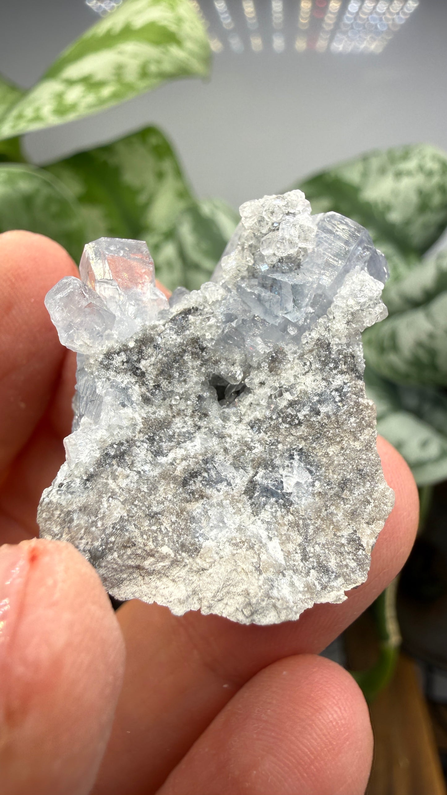 Celestine, Calcite- Meckley's Quarry, Mandata, Northumberland County, Pennsylvania, USA