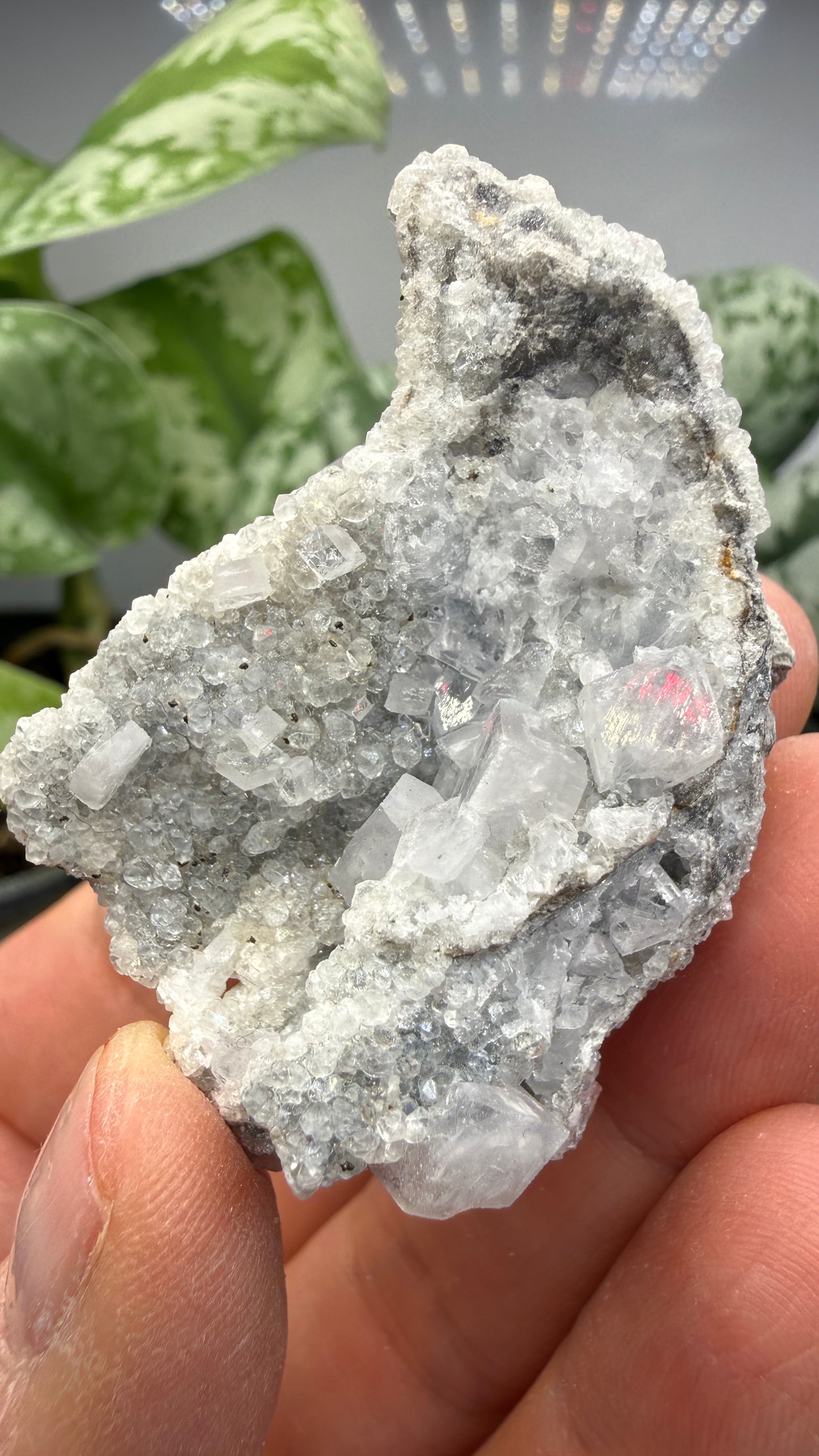 Celestine, Calcite- Meckley's Quarry, Mandata, Northumberland County, Pennsylvania, USA