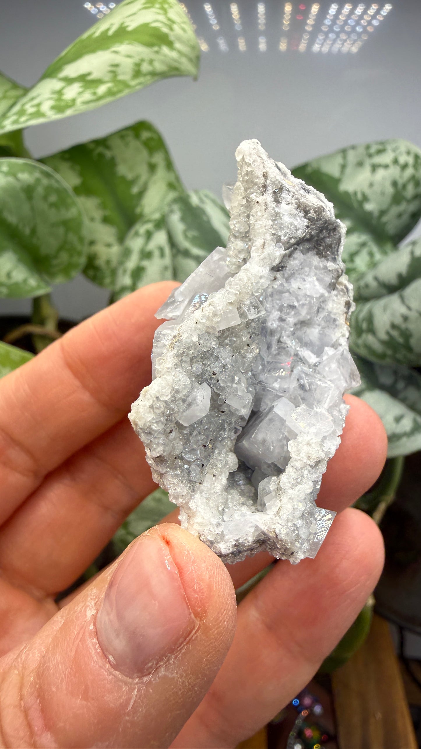Celestine, Calcite- Meckley's Quarry, Mandata, Northumberland County, Pennsylvania, USA