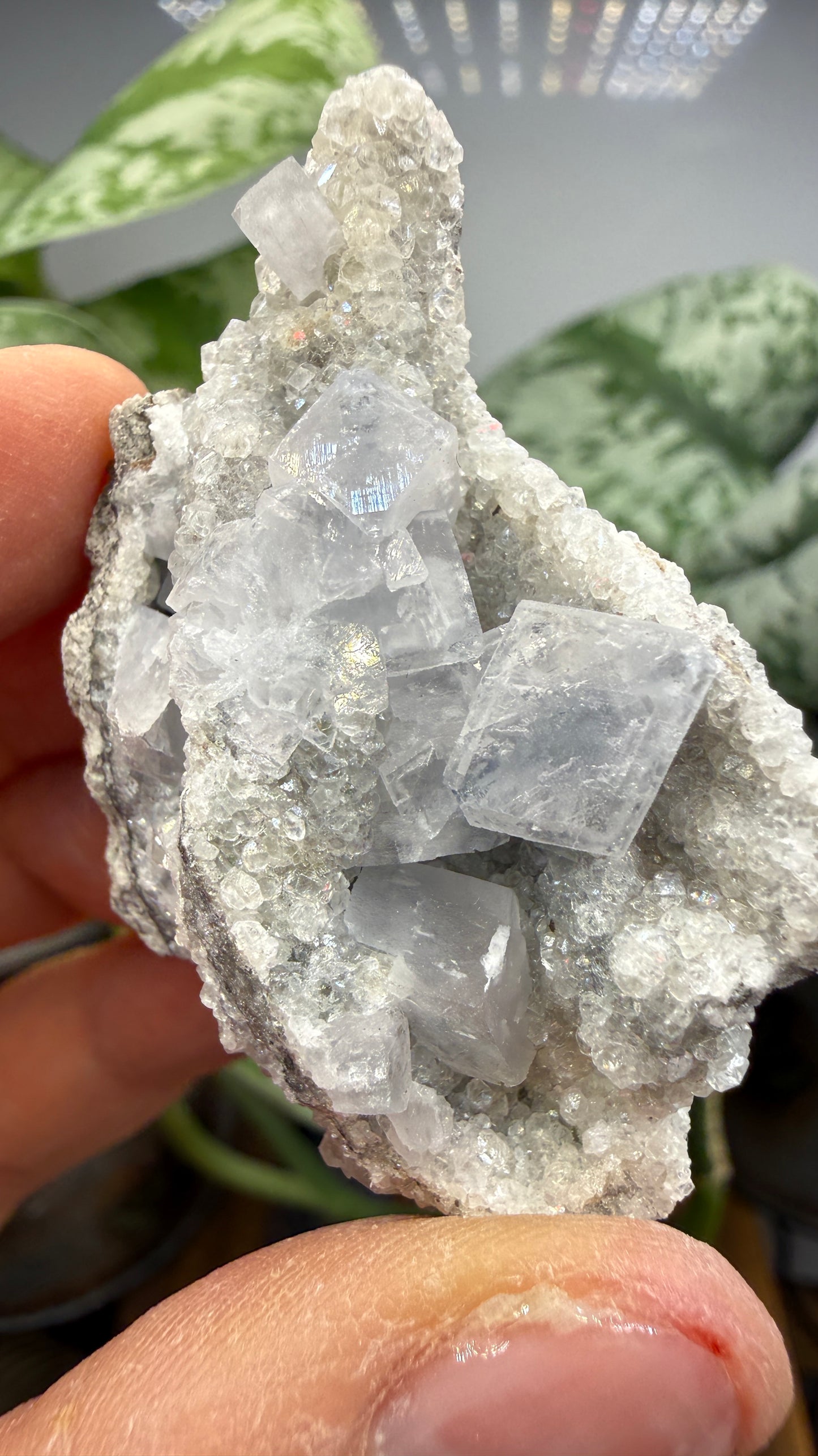 Celestine, Calcite- Meckley's Quarry, Mandata, Northumberland County, Pennsylvania, USA
